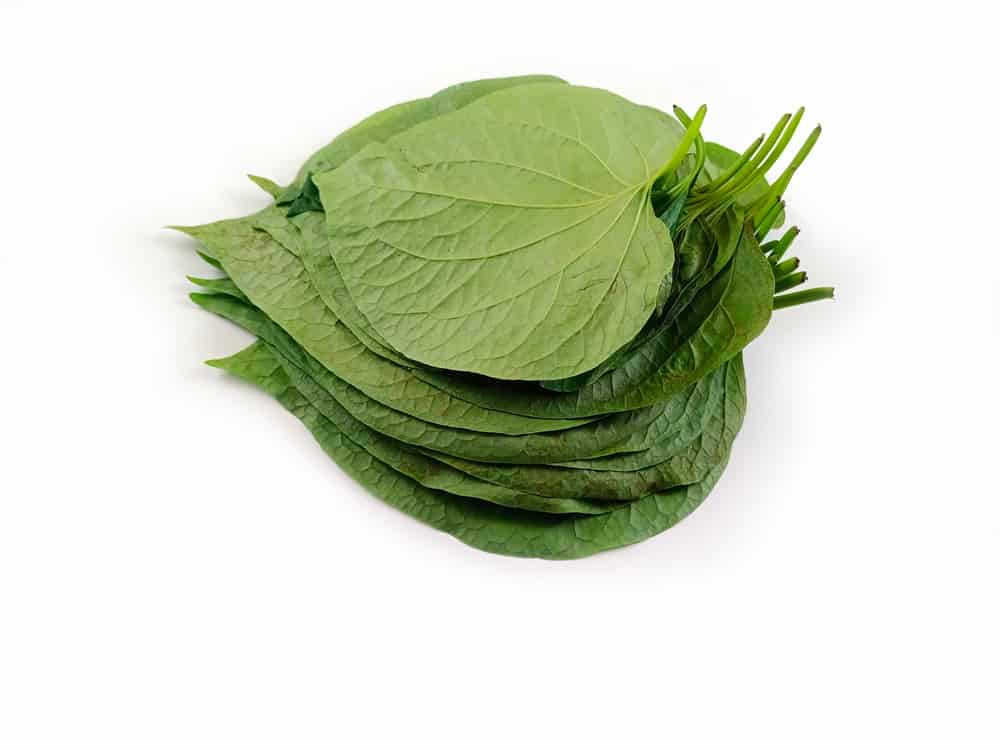 Hình ảnh tin tức 6 biện pháp cần làm ngay để phòng viêm não virus trong mùa hè