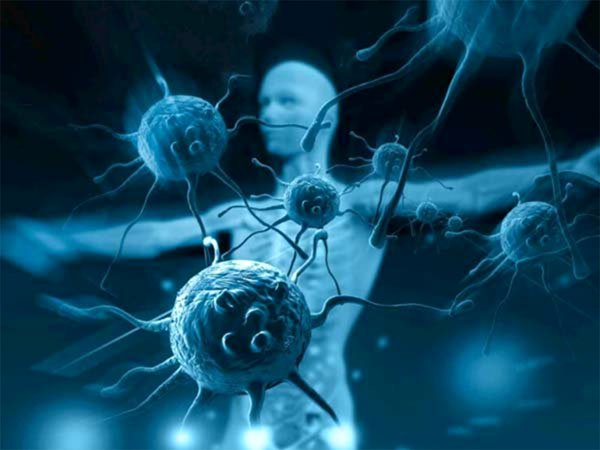 Hình ảnh tin tức Trung tâm Y tế thành phố Yên Bái tập huấn thay đổi tư duy, đổi mới phong cách thái độ phục vụ, hướng tới sự hài lòng của người bệnh và người nhà người bệnh