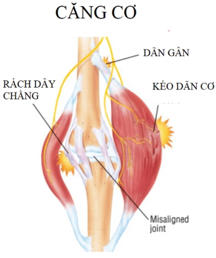 Hình ảnh tin tức Đánh giá chương trình hợp tác kết nghĩa giữa Trung tâm Y tế thành phố Yên Bái và Trung tâm Y tế huyện Mù Cang Chải