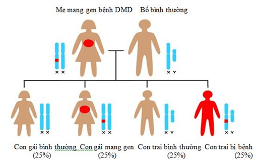 [Infographic] Toàn bộ thông tin F0 CẦN BIẾT về thuốc Molnupiravir điều trị COVID-19
